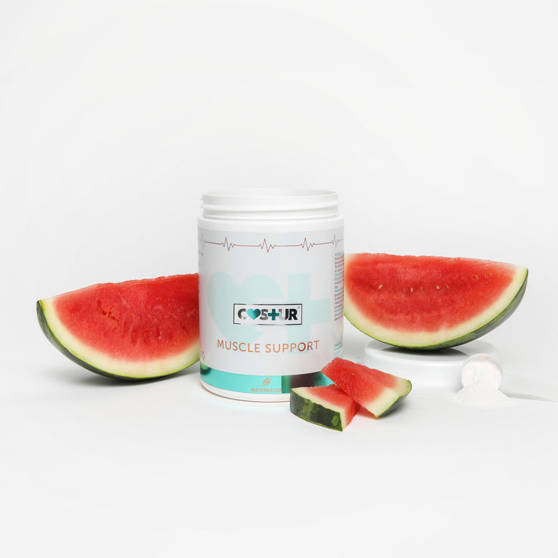 Muscle Support - 300 g